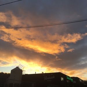 Meet your Posher, Cameilla